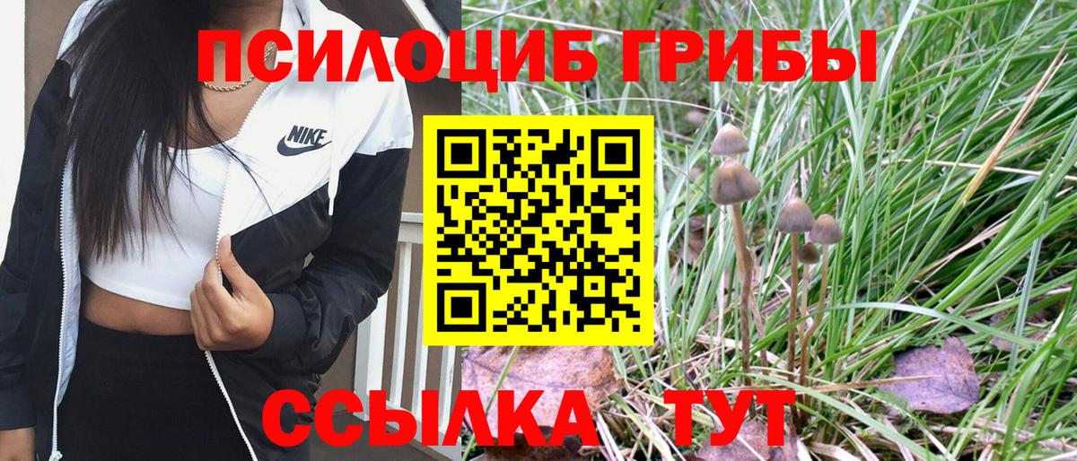 Гусиноозёрск  Псилоцибиновые грибы Cubensis  что такое   Вход с VPN 