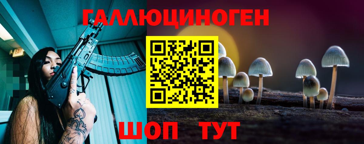 Псилоцибиновые грибы мицелий Гусиноозёрск